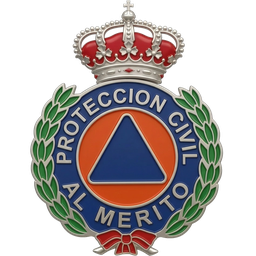 Imagen de Medalla de Plata