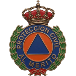 Imagen de Medalla de Bronce